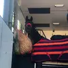 Luna and Georgia - @georgia_luna8 - TikTok