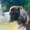 georgiaflyman - @georgiaflyman - TikTok