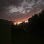 𝒢ℯℴ𝓇𝑔𝒾𝒶 𝓁𝓎ℴ𝓃𝓈♧︎ - @georgia.lyons08 - Instagram