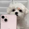 Georgina Macias - @geomaaa - TikTok