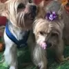 georgiamack70 - @georgiamack70 - TikTok