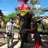 Georgia Santos Maier - @georgiasantosmaie - TikTok
