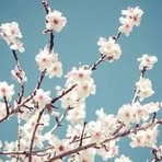 Georgia Makris - Facebook