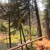 Georgia Malory - @georgia.malory185 - TikTok