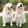 Marlow & Georgia - @marlowandgeorgia - TikTok