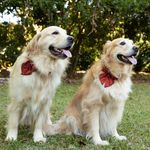 Marlow & Georgia ❀ - @marlowandgeorgia - Instagram