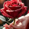 __```Georgina Marquez```__ - @georgina.marquez94 - TikTok