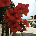Georgia - @georgia_marriott06 - Instagram