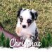 Georgia Chesshire Mathis - Facebook