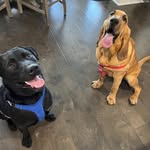 Georgia And Maxwell 🤍 - @georgiamaxwellwinston - Instagram