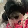 georgiamaxwell - @georgiamaxwell8 - TikTok