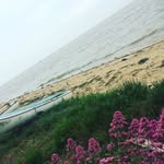 Georgia Mayes - @gmayes17_photography - Instagram