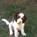 Georgie Maynard - Facebook