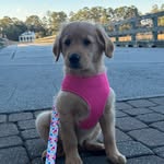 Georgia - @_georgiamckeever - Instagram