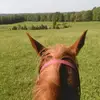 Georgia McMaster - @georgia.mcmaster - TikTok