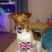 Georgie Mcmaster - Facebook