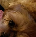 Georgie Millward - Facebook