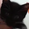 georgiamorton866 - @georgiamorton866 - TikTok