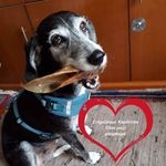 Georgia Müller - @georgiamuller6 - Instagram
