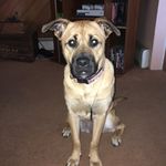 Georgia Olson - @georgia_porge - Instagram