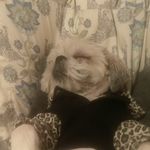 Georgia Vakakis Pappas - @sylaris67 - Instagram
