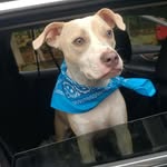 Gigi Georgia Pepper - @gigisthuglife - Instagram