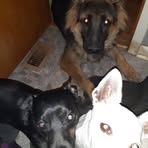 Georgia Powers - Facebook