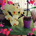 Georgia Ann Owensby Proctor - @georgia.a.proctor - Instagram