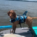 Georgia Riley Milner - @_georgiariley_thegoldie - Instagram