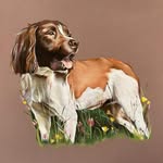 Georgia Robb Art - @georgia_robb_art - Instagram