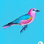 European roller - @european_roller_georgia - Instagram