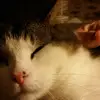 georgiarothweiler - @georgiarothweiler - TikTok
