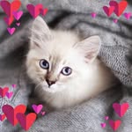 Georgia Le Roy - @karnistedo - Instagram