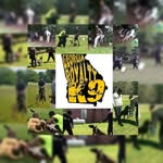 Georgia Royalty K9 - @georgiaroyaltyk9 - Instagram
