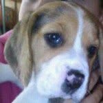 Georgina Ferrer Rubio - @geferubio - Instagram