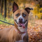 Georgia - @_georgiarule_ - Instagram