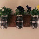 Georgia Rustic - @georgia_rustic - Instagram