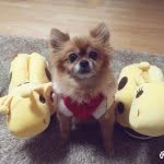 Samuel Bradley - @georgia_samuel_2010 - Instagram