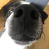 georgia - @georgiasilvers_ - TikTok