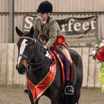 Georgia Stanton - @gs_equestrian_ - Instagram