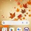 Gina Tabor George - @gina.tabor.george - TikTok