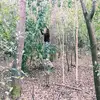 Georgia wade  - @georgia.wade2 - TikTok