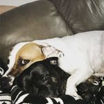 Georgia & Weiss - @georgia_and_weiss - Instagram
