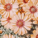 Georgia Workman - @georgiaworky358 - Instagram