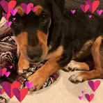 Georgia Austin - Facebook