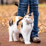 Georgie Evans - @adventuresofgeorgiecat - Instagram