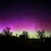 Georgie Evans - @georgie.evans4 - TikTok
