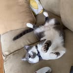 Georgie Hahn - Facebook