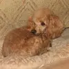 George Miles - @george.miles84 - TikTok