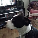 Georgie Sampson - @georgie.sampson.16 - Instagram